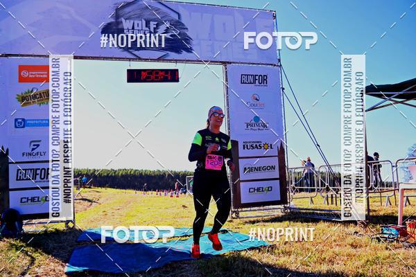 Buy your photos of the eventWolf Series - Botucatu on Fotop