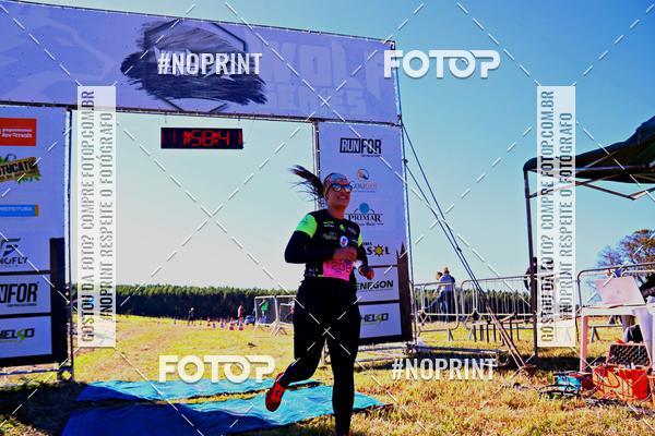 Buy your photos of the eventWolf Series - Botucatu on Fotop