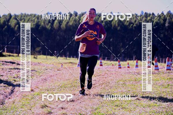 Buy your photos of the eventWolf Series - Botucatu on Fotop