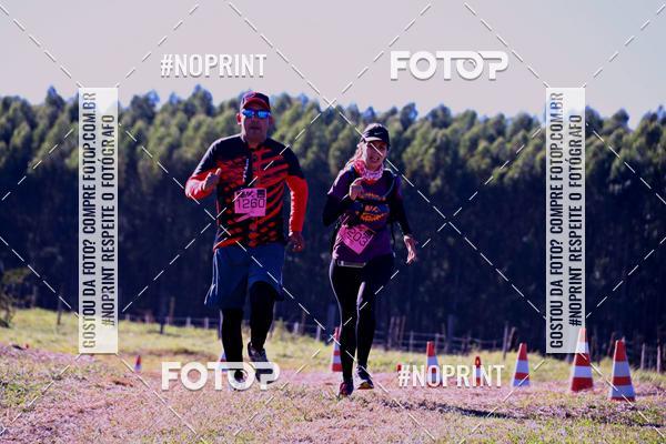 Buy your photos of the eventWolf Series - Botucatu on Fotop