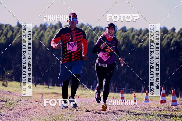 Buy your photos of the eventWolf Series - Botucatu on Fotop