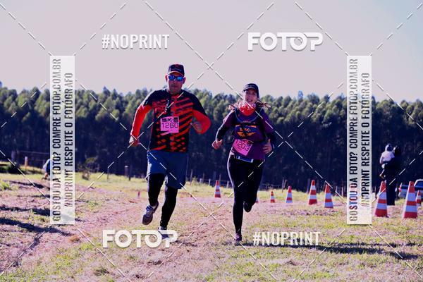 Buy your photos of the eventWolf Series - Botucatu on Fotop