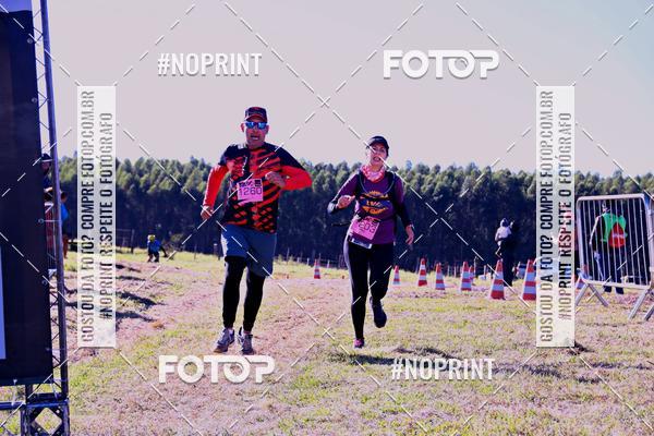 Buy your photos of the eventWolf Series - Botucatu on Fotop