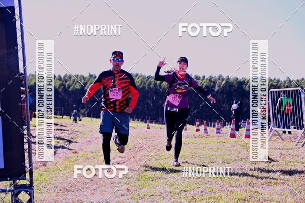 Buy your photos of the eventWolf Series - Botucatu on Fotop