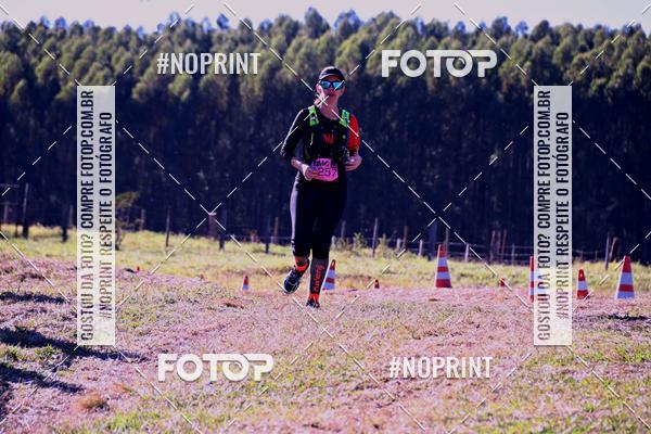 Buy your photos of the eventWolf Series - Botucatu on Fotop