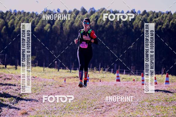 Buy your photos of the eventWolf Series - Botucatu on Fotop