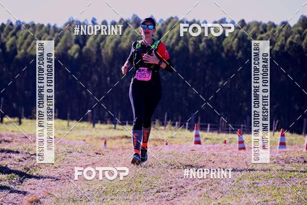 Buy your photos of the eventWolf Series - Botucatu on Fotop