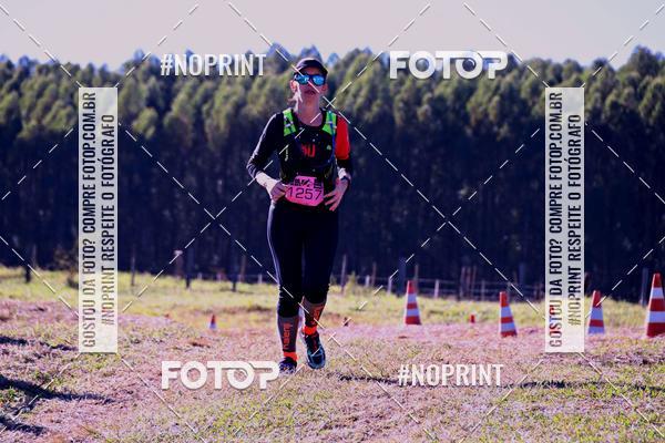 Buy your photos of the eventWolf Series - Botucatu on Fotop