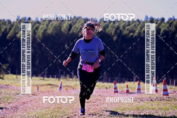 Buy your photos of the eventWolf Series - Botucatu on Fotop