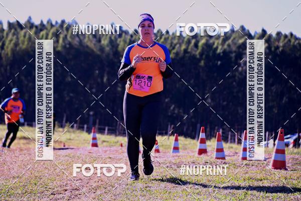 Buy your photos of the eventWolf Series - Botucatu on Fotop