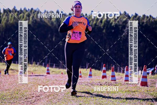 Buy your photos of the eventWolf Series - Botucatu on Fotop