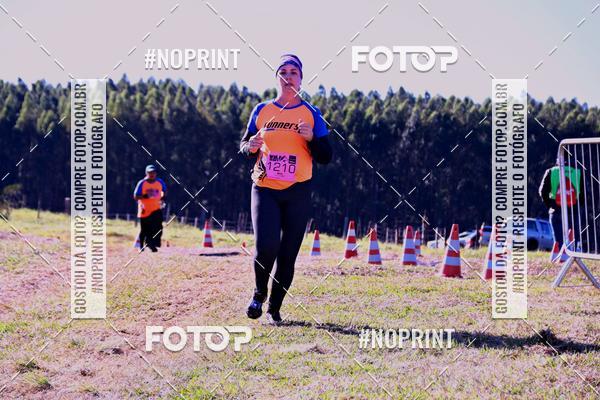 Buy your photos of the eventWolf Series - Botucatu on Fotop