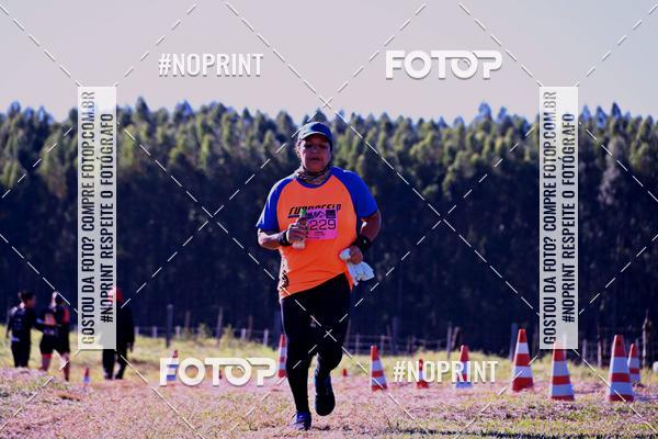 Buy your photos of the eventWolf Series - Botucatu on Fotop