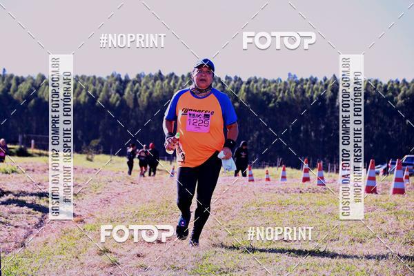 Buy your photos of the eventWolf Series - Botucatu on Fotop