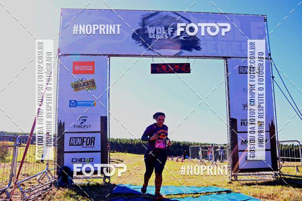 Buy your photos of the eventWolf Series - Botucatu on Fotop