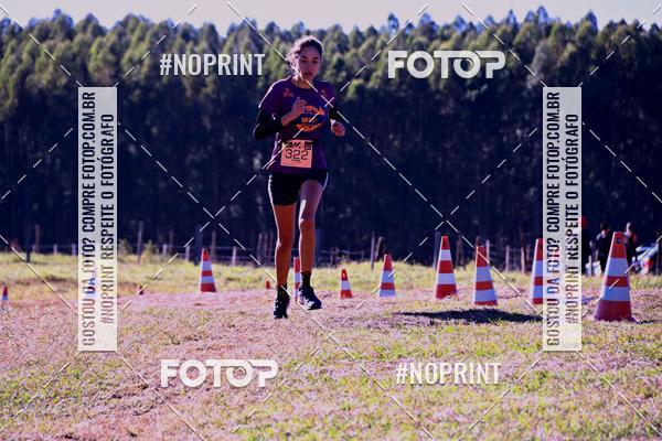 Buy your photos of the eventWolf Series - Botucatu on Fotop