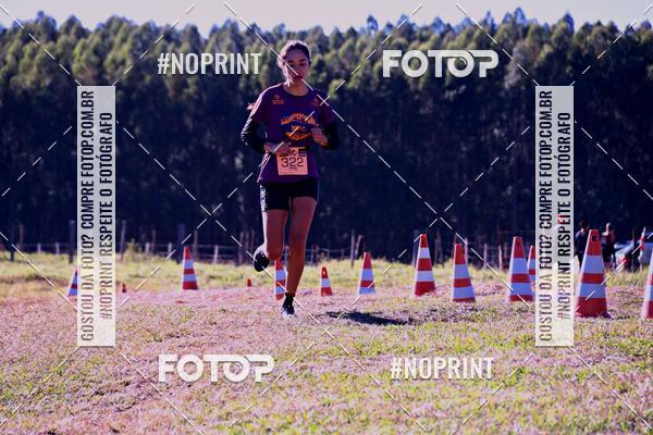 Buy your photos of the eventWolf Series - Botucatu on Fotop