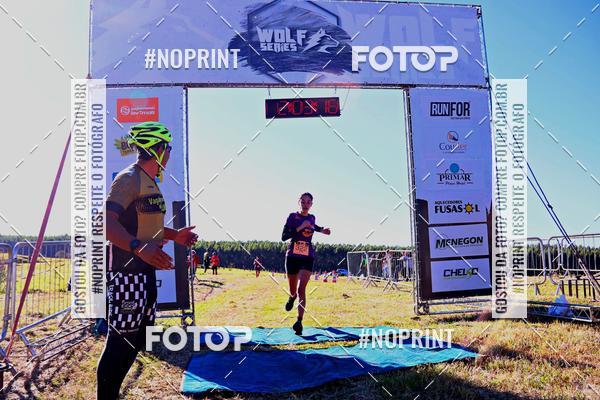 Buy your photos of the eventWolf Series - Botucatu on Fotop