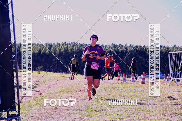 Buy your photos of the eventWolf Series - Botucatu on Fotop