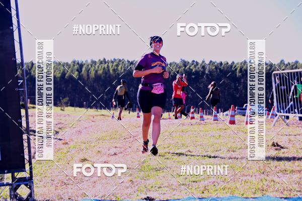 Buy your photos of the eventWolf Series - Botucatu on Fotop