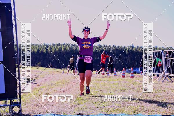 Buy your photos of the eventWolf Series - Botucatu on Fotop