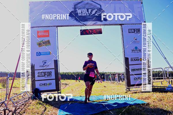 Buy your photos of the eventWolf Series - Botucatu on Fotop