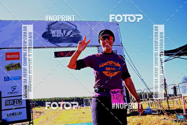 Buy your photos of the eventWolf Series - Botucatu on Fotop