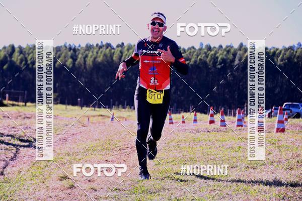 Buy your photos of the eventWolf Series - Botucatu on Fotop