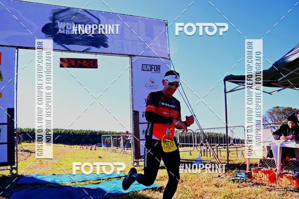 Buy your photos of the eventWolf Series - Botucatu on Fotop