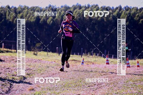 Buy your photos of the eventWolf Series - Botucatu on Fotop