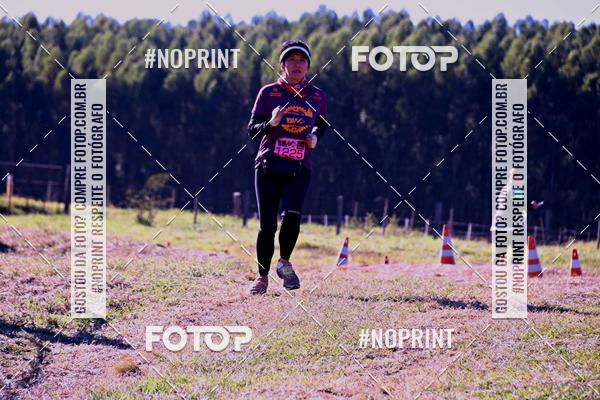 Buy your photos of the eventWolf Series - Botucatu on Fotop