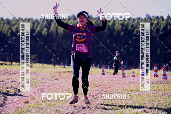 Buy your photos of the eventWolf Series - Botucatu on Fotop