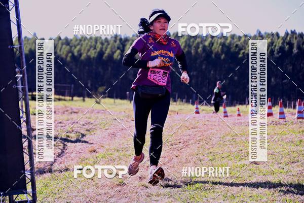 Buy your photos of the eventWolf Series - Botucatu on Fotop