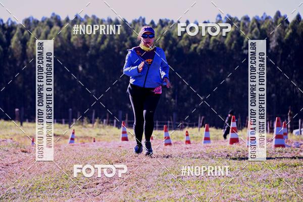 Buy your photos of the eventWolf Series - Botucatu on Fotop