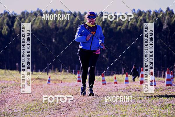 Buy your photos of the eventWolf Series - Botucatu on Fotop