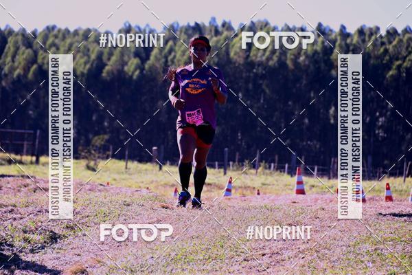 Buy your photos of the eventWolf Series - Botucatu on Fotop