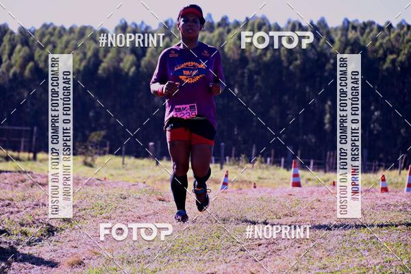 Buy your photos of the eventWolf Series - Botucatu on Fotop