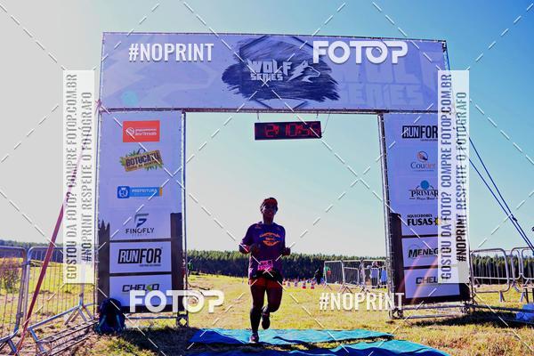 Buy your photos of the eventWolf Series - Botucatu on Fotop