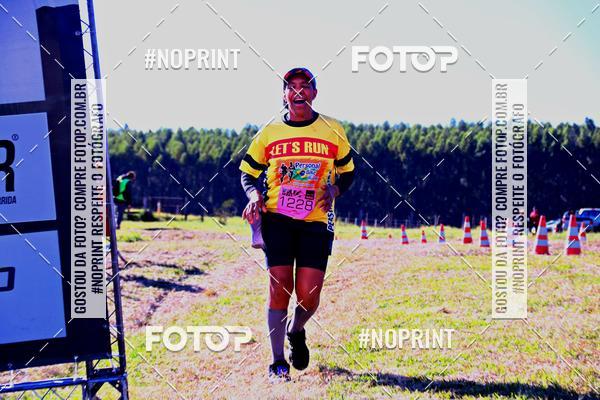 Achetez vos photos de l'vnementWolf Series - Botucatu sur Fotop