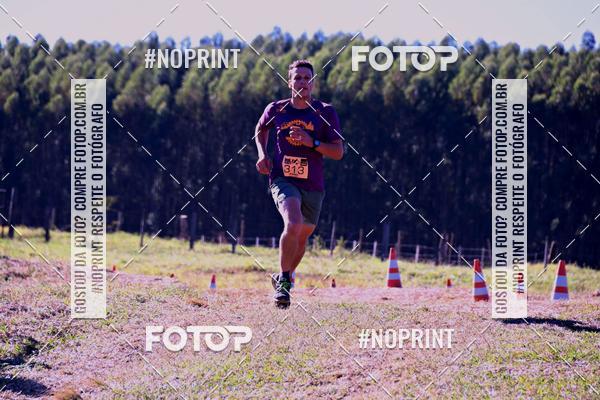 Buy your photos of the eventWolf Series - Botucatu on Fotop