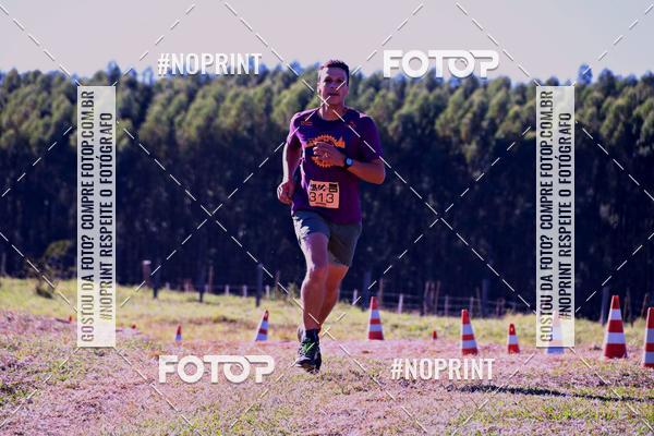 Buy your photos of the eventWolf Series - Botucatu on Fotop