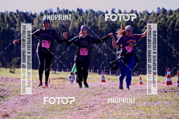 Buy your photos of the eventWolf Series - Botucatu on Fotop