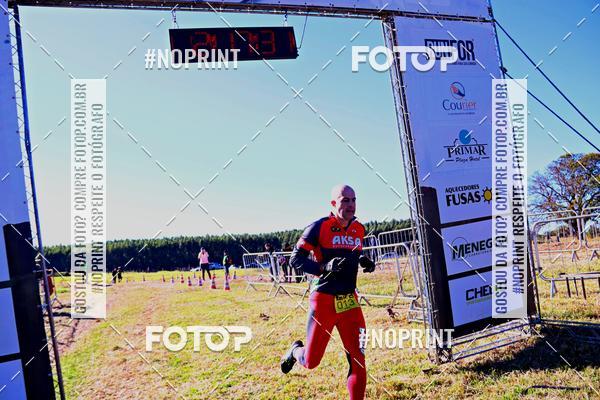 Buy your photos of the eventWolf Series - Botucatu on Fotop