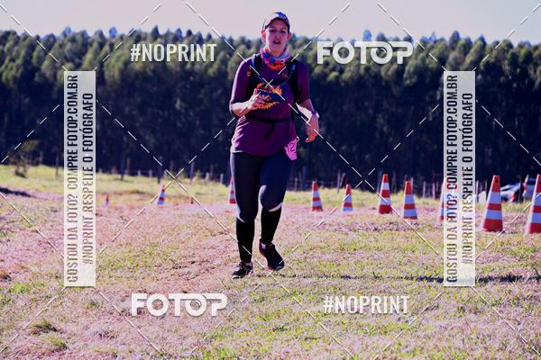 Buy your photos of the eventWolf Series - Botucatu on Fotop