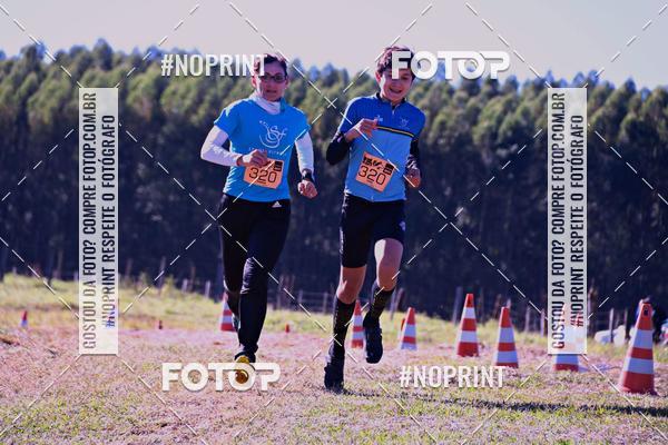 Buy your photos of the eventWolf Series - Botucatu on Fotop