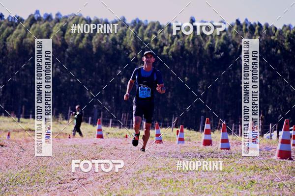 Buy your photos of the eventWolf Series - Botucatu on Fotop