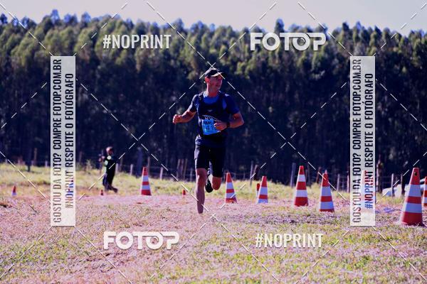 Buy your photos of the eventWolf Series - Botucatu on Fotop