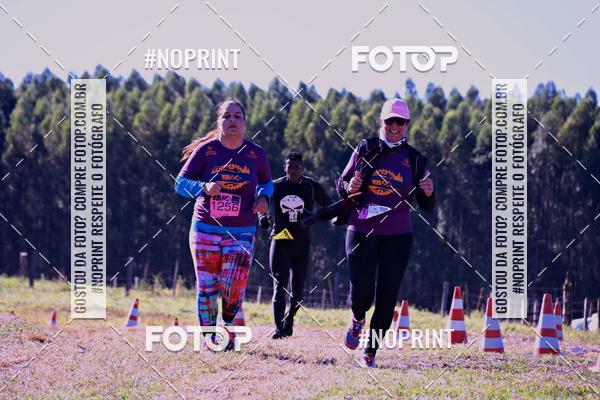 Buy your photos of the eventWolf Series - Botucatu on Fotop