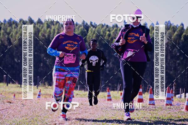 Buy your photos of the eventWolf Series - Botucatu on Fotop