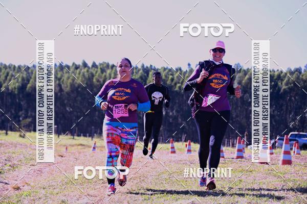 Buy your photos of the eventWolf Series - Botucatu on Fotop